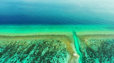Denizde sakin su altında mercan resiflerinin ve beyaz kumlu bir plajın havadan çekilmiş görüntüsü.