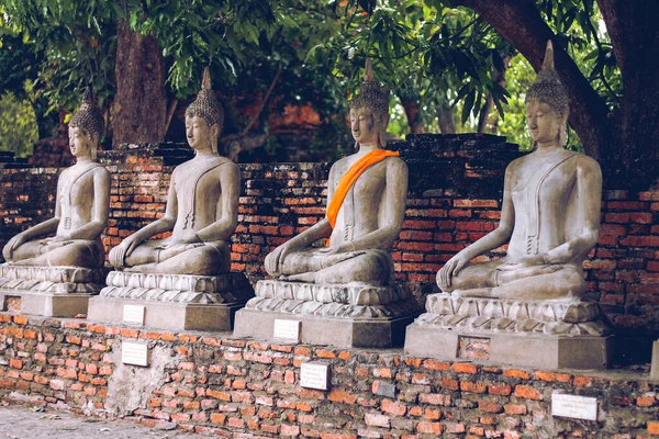 タイのアユタヤにあるワット チャイ モンコーン寺院の仏像の列 — ストック写真