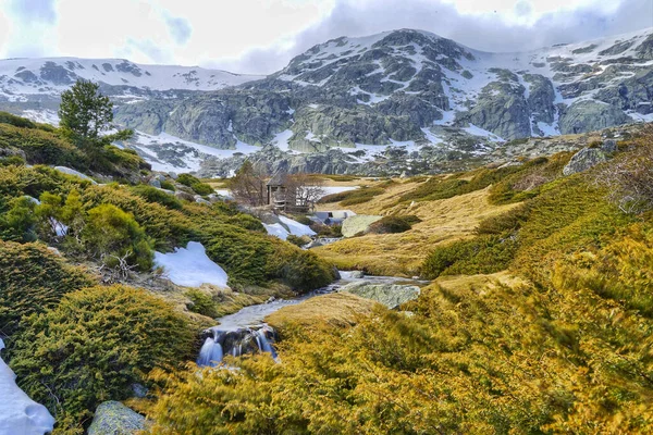 Красивий Вид Водоспад Оточений Густими Деревами Засніжених Горах — стокове фото