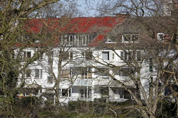 Muitas Árvores Nuas Com Edifícios Apartamentos Residenciais Fundo Inverno Bremen — Fotografia de Stock