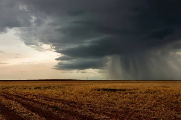 Первый Дождь Весны Открытой Равнине После Долгой Засухи — стоковое фото