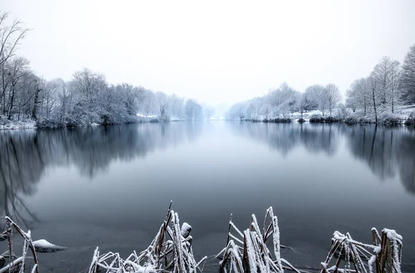 Cherokee Lake Cold White Winter Morning Surrounded Pale Trees Bright — Stock Photo, Image