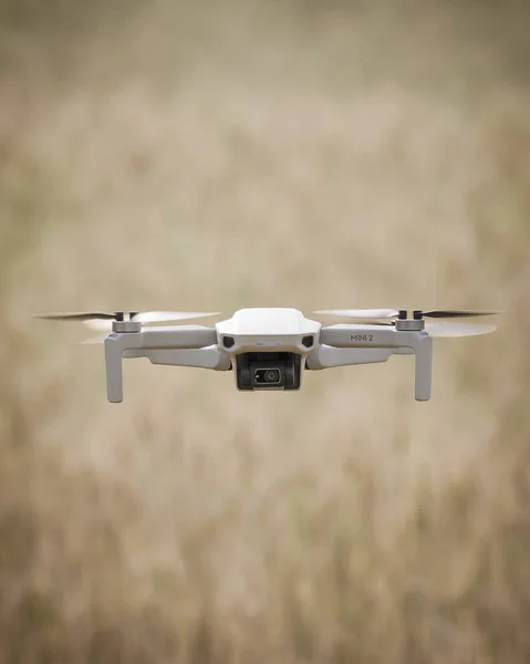 Drone Dji Mini Aleggia Sopra Campo Risaia Con Sfondo Sfocato — Foto Stock