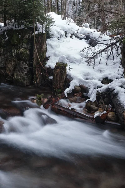 流れるような水と岩と雪が美しい川の流れの垂直ショット — ストック写真