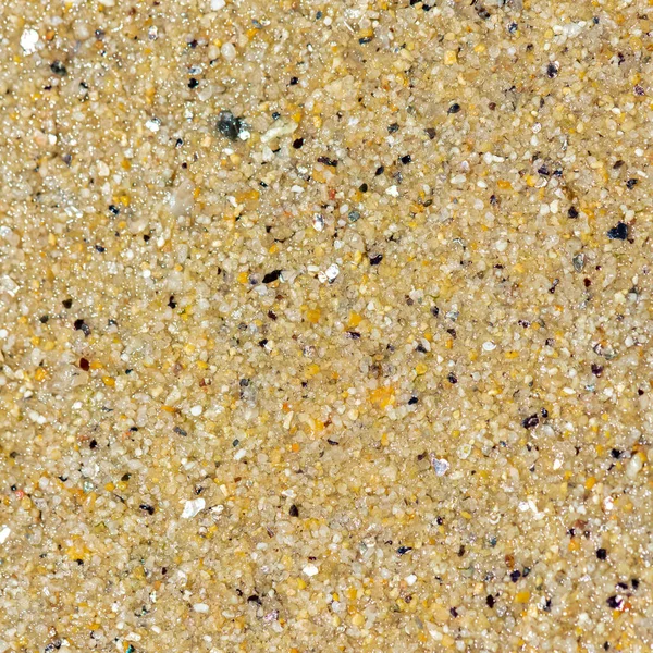 Large Grains Sand Beach Colorful Background — Stock Photo, Image