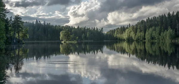 Een Woud Bomen Reflecteren Een Kalme Plas Water Bewolkte Dag — Stockfoto