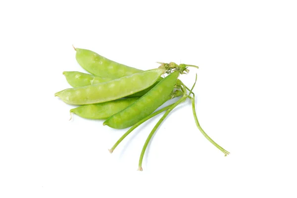 Green Peas Stock White Background — Stock Photo, Image