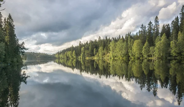 Een Woud Bomen Reflecteren Een Kalme Plas Water Bewolkte Dag — Stockfoto