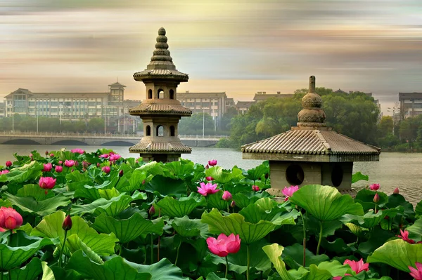 Närbild Foto Lotus Blommor Och Artefakter Från Jinshan Sjö Park — Stockfoto