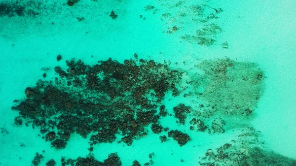 Ένα Θαλασσινό Τοπίο Από Κοραλλιογενείς Υφάλους Κάτω Από Γαλήνια Νερά — Φωτογραφία Αρχείου