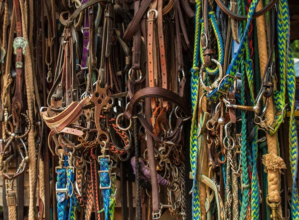 Hafif bir günde renkli deve aksesuarlarının yakın plan çekimi.