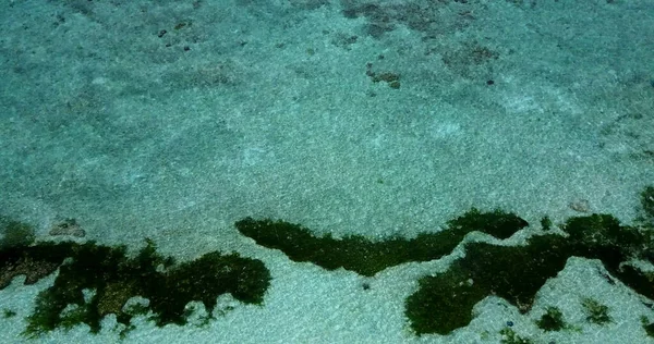 Αεροφωτογραφία Του Πανέμορφου Τυρκουάζ Ωκεανού Στις Μαλδίβες — Φωτογραφία Αρχείου
