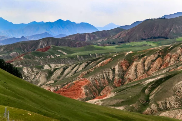 Beautiful Landscape View Green Meadows Qilian Shan Mountain Range China — Stock Photo, Image