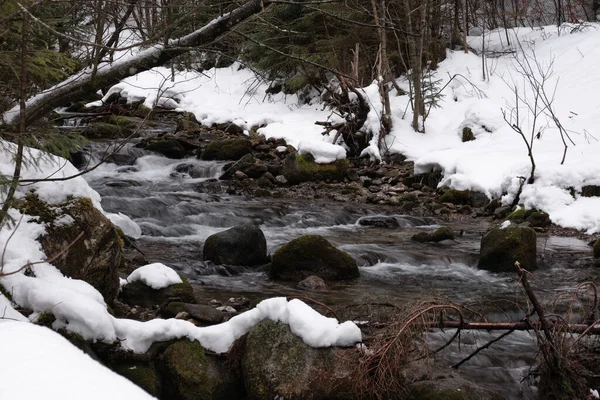 Primer Plano Río Montaña Nieve Derretida Ambos Lados Del Río —  Fotos de Stock