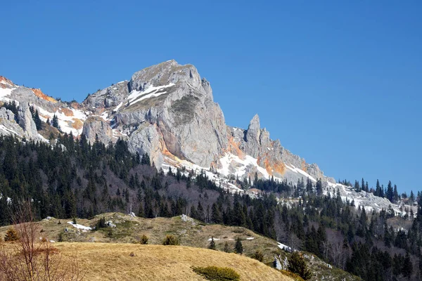 Vacker Utsikt Över Alperna Berg Med Tallar Blå Himmel — Stockfoto