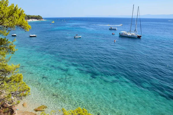 Utsikt Över Adriatiska Kusten Med Tallar Och Yacht Brac Island — Stockfoto