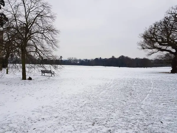 Una Hermosa Toma Banco Campo Cubierto Nieve Fondo Los Árboles —  Fotos de Stock