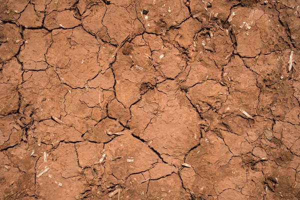 Top View Cracked Brown Dirt Desert — Stock Photo, Image