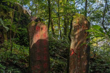 Yeşil ormanda Çin stili mühürlü iki kaya.