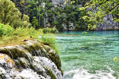 Hırvatistan 'daki dağ ormanlarıyla çevrili Plitvice göllerinin büyüleyici manzarası
