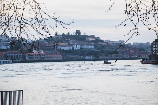 Una Hermosa Vista Ciudad Oporto Desde Las Ramas —  Fotos de Stock