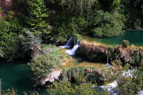 森の中の小さな滝の景色 — ストック写真