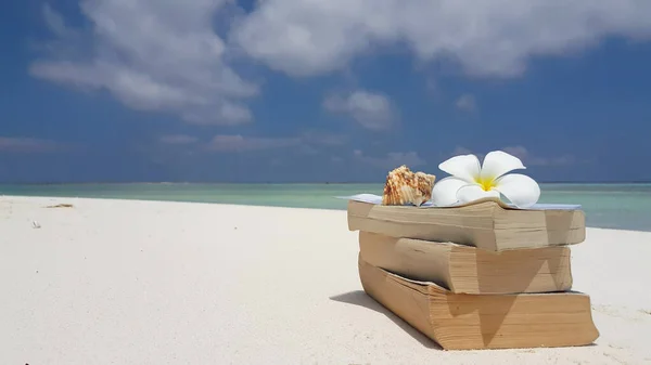 Libri Con Conchiglia Plumeria Spiaggia Sabbiosa — Foto Stock