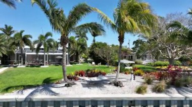 Florida, ABD 'de bir otel bahçesinde yetişen tropikal palmiye ağaçları.