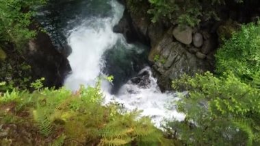 Kanada 'daki Lynn Canyon parkında kayalıklardan akan güzel bir şelale.