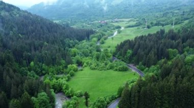 Yeşil tarlalarda dağlara giden ağaçlarla dolu bir yolun havadan görünüşü.