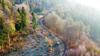 Sonbaharda renkli ağaçlarla kaplı dağlık bir arazinin büyüleyici bir görüntüsü.