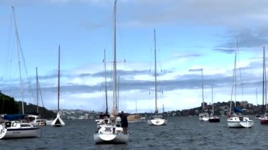Cremorne Point, Sydney, Avustralya 'da denizde yüzen yat ve teknelerin güzel manzarası.