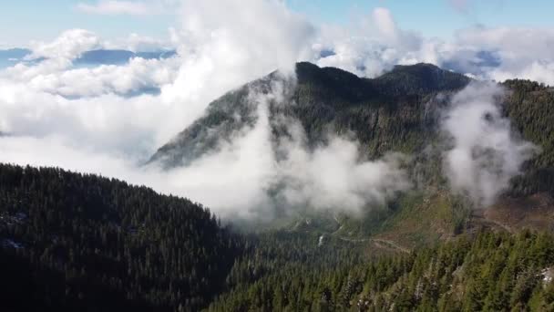 Mountain Vista Mid Vancouver Island Kanada — Wideo stockowe