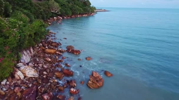 Красивый Пейзаж Сделанный Дроном Пляжа Зеленых Деревьев Берегу Океана Дарвине — стоковое видео