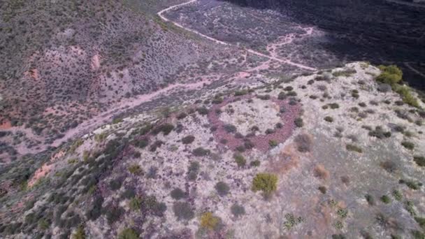 Widok Lotu Ptaka Rozległego Kempingu Drogami Pobliżu Rzeki Verde Arizonie — Wideo stockowe