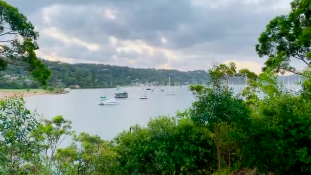 Панорамний Вид Яхти Пляж Моря Пабу — стокове відео
