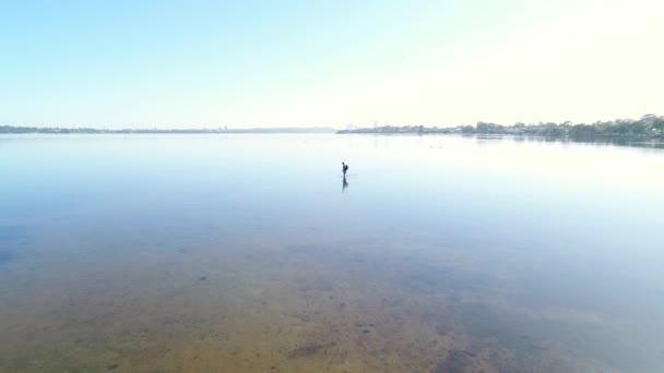 Pescatore Guadare Attraverso Fiume Poco Profondo — Video Stock