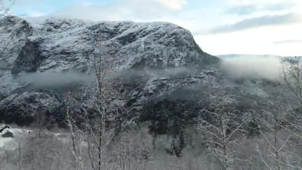 冬のノルウェーのフィヨルド — ストック動画