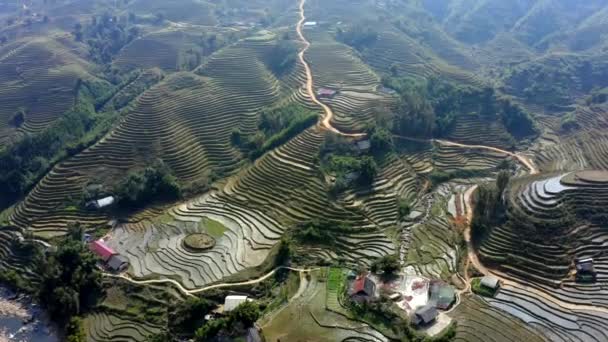Aerial View Rice Fields Sapa Vietnam — Stock Video