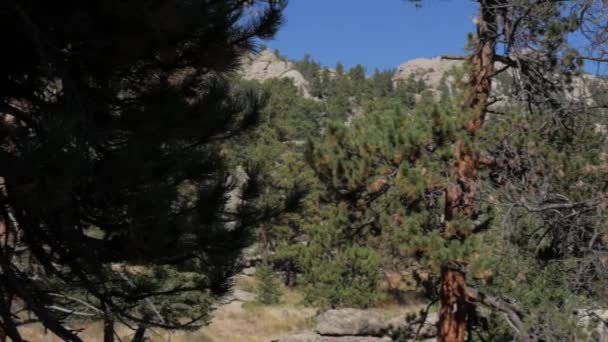 Fascynujący Widok Krajobrazowy Zielonymi Wzgórzami Wysokimi Drzewami Estes Park Kolorado — Wideo stockowe
