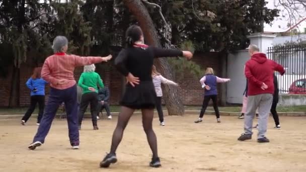 園内で生徒たちと一緒に練習する太極拳の先生 — ストック動画