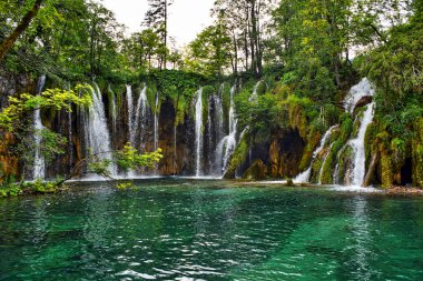 Hırvatistan 'da sık yeşil ağaçlarla çevrili şelaleli Plitvice göllerinin manzarası