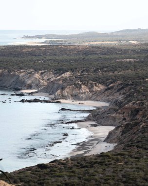 Okyanusta küçük kumlu bir sahil üzerinde çimen yetişen küçük kayaların dibinde.