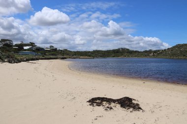 Avustralya 'da Moore Nehri' nin bir sahnesi.