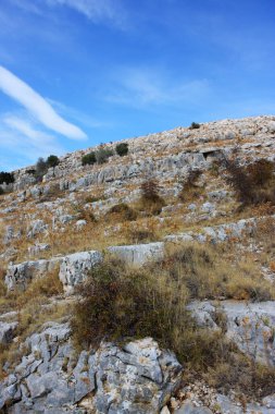 Bitkilerle dolu kayalık bir tepeye yakın çekim.