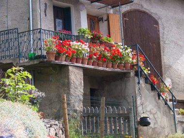 Flower pots on balcony of house