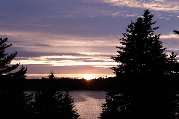Mor Bir Günbatımında Çam Ağaçlarıyla Çevrili Bir Göl Manzarası — Stok fotoğraf