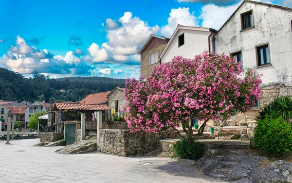 Ein Schöner Blick Auf Ein Galizisches Dorf Mit Einem Rosafarbenen — Stockfoto