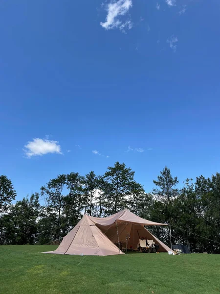 Een Verticaal Shot Van Een Tent Groen Grasveld Tegen Bomen — Stockfoto