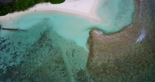 Een Adembenemend Mooi Uitzicht Zee Met Zandstrand Groeiende Bomen Malediven — Stockfoto